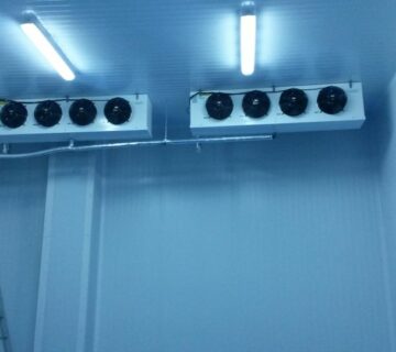 entrepot frigorifique14